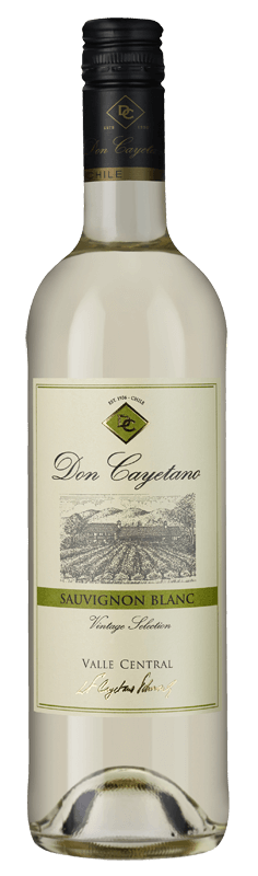 Don Cayetano Sauvignon Blanc 2020 Don Cayetano Sauvignon Blanc 2020