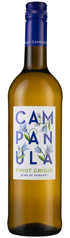 Campanula Pinot Grigio