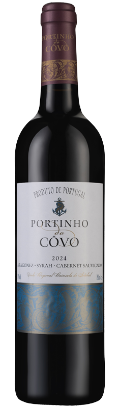 Portinho do Côvo 2024