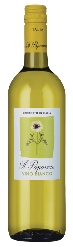 Il Papavero Bianco Il Papavero Bianco