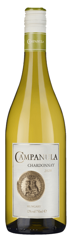 Campanula Chardonnay 2020