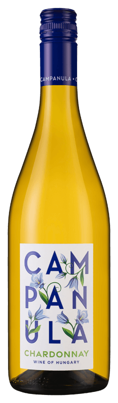 Campanula Chardonnay 2022