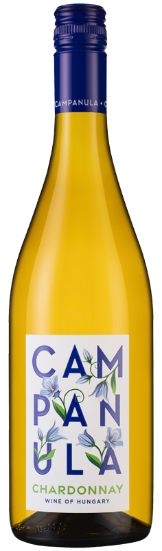 Campanula Chardonnay 2024