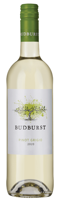Budburst Pinot Grigio 2020 Budburst Pinot Grigio 2020