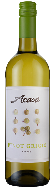 Acasa Pinot Grigio 2023