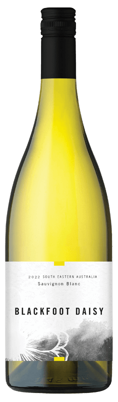 Blackfoot Daisy Sauvignon Blanc Blackfoot Daisy Sauvignon Blanc
