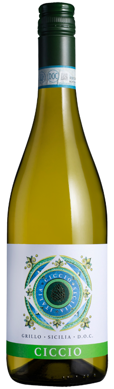 Ciccio Grillo 2024