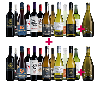 Top 12 International Mix + Fizz 26-bottle BULK DEAL