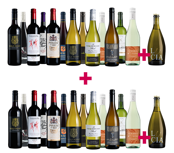 Top 12 International Mix + Fizz 26-bottle BULK DEAL