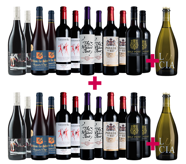 Top 12 International Reds + Fizz 26-bottle BULK DEAL