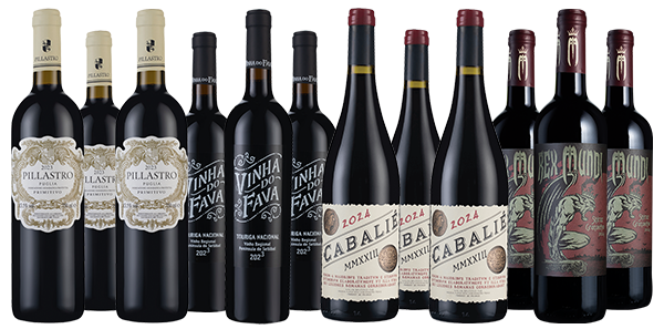 Worldwide Bestsellers Dozen