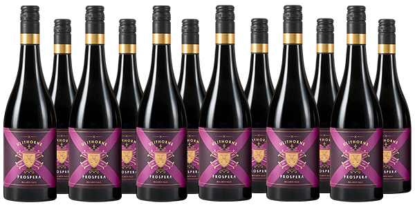 Ulithorne Prospera Shiraz SWF Ulithorne Prospera Shiraz SWF