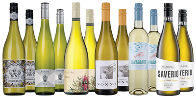 Fridge Favourites Whites Dozen