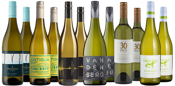 Vibrant Chardonnay Dozen