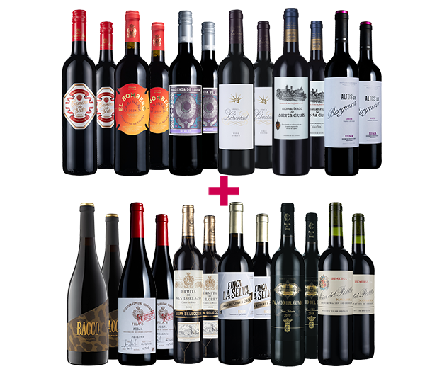 Great Value and Mature Premium Reds of Spain 24-bottle BULK DEAL