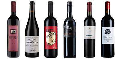 Fine Wine World Reds Six